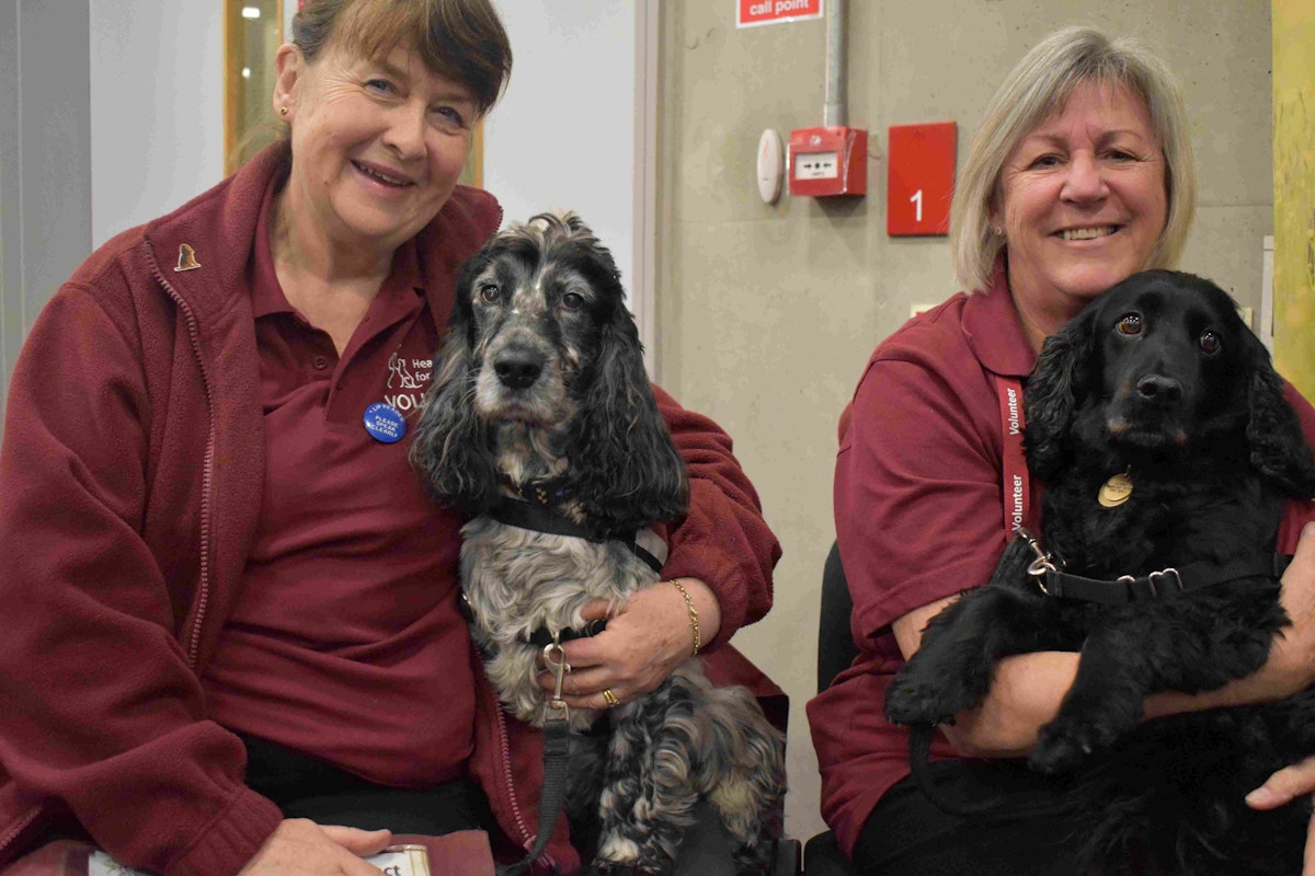 Two women holding dogs